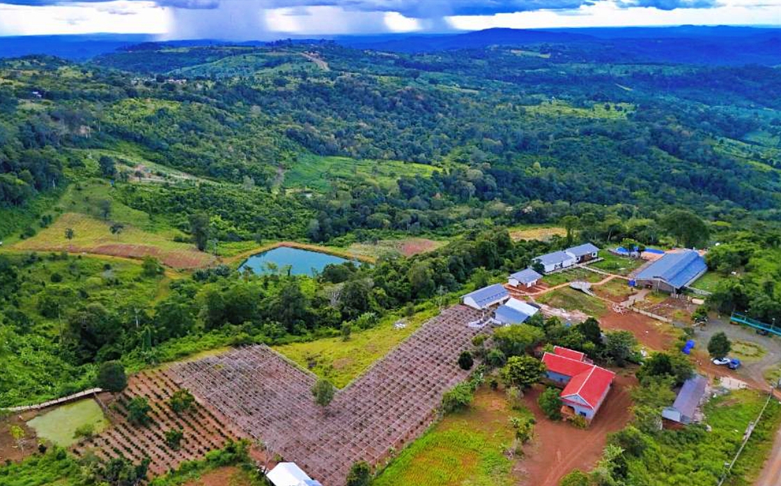 Pida coffee farm in Mondulkiri